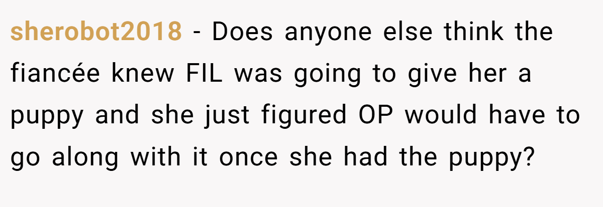 sherobot2018 − Does anyone else think the fiancée knew FIL was going to give her a puppy and she just figured OP would have to go along with it once she had the puppy?