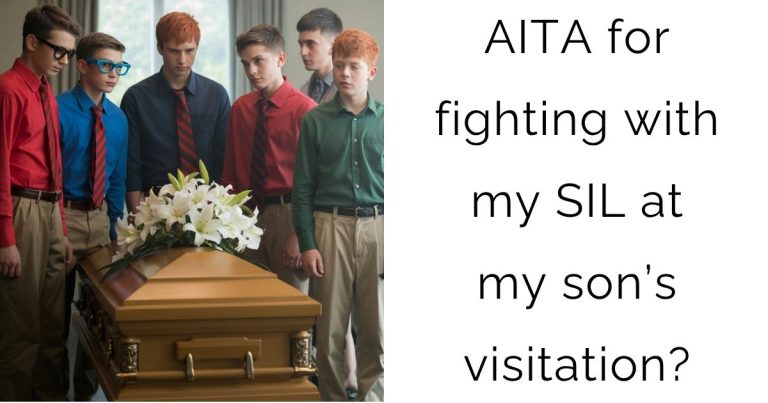 AITA for fighting with my SIL at my son’s visitation?