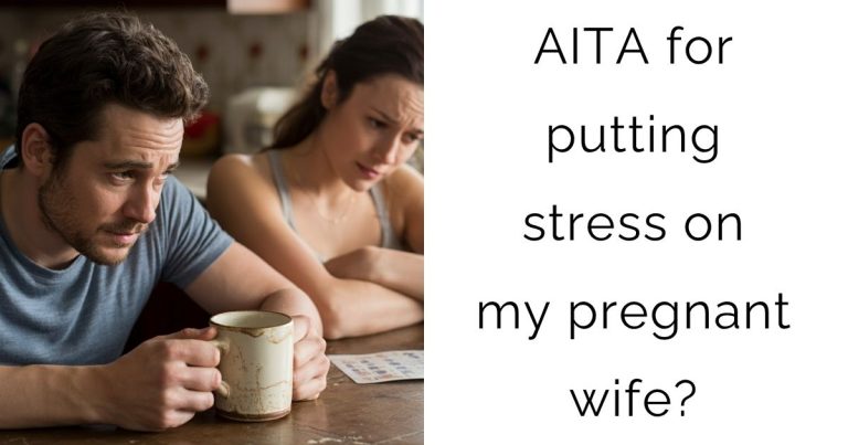 AITA for putting stress on my pregnant wife?