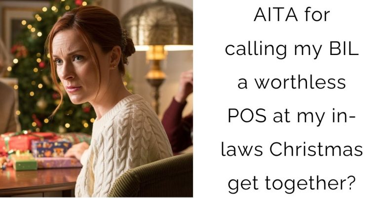 AITA for calling my BIL a worthless POS at my in-laws Christmas get together?