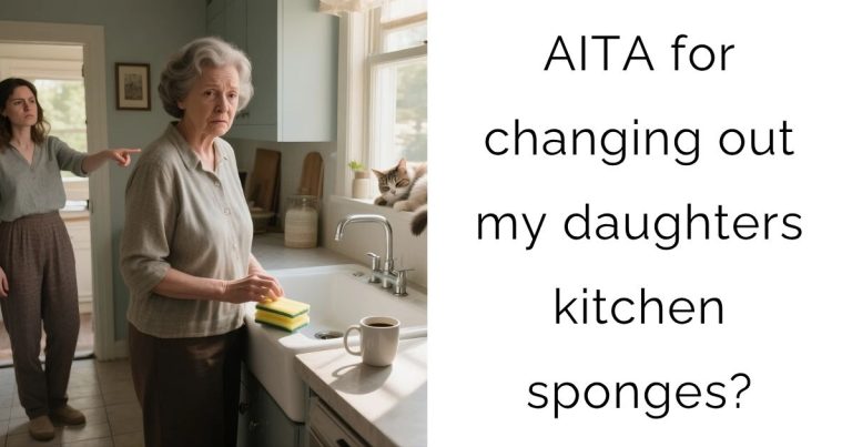 AITA for changing out my daughters kitchen sponges?