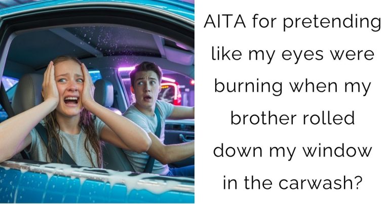 AITA for pretending like my eyes were burning when my brother rolled down my window in the carwash?
