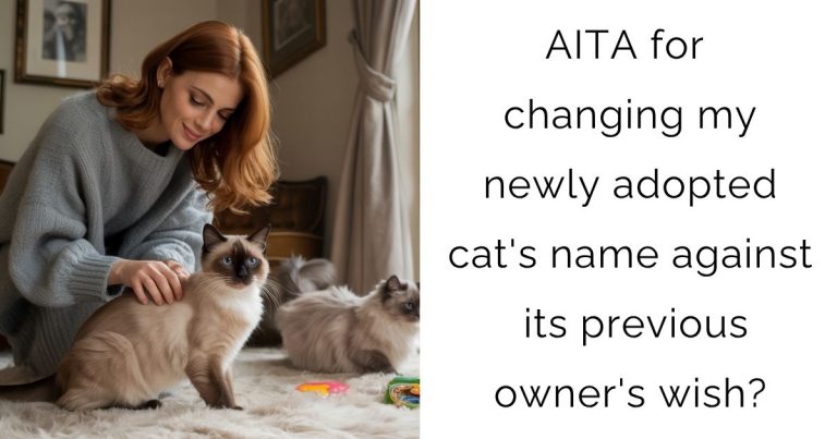 AITA for changing my newly adopted cat’s name against its previous owner’s wish?