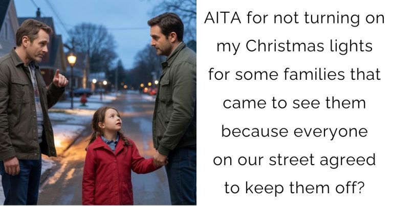 AITA for not turning on my Christmas lights for some families that came to see them because everyone on our street agreed to keep them off?