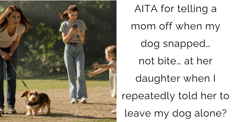 AITA for telling a mom off when my dog snapped… not bite… at her daughter when I repeatedly told her to leave my dog alone?