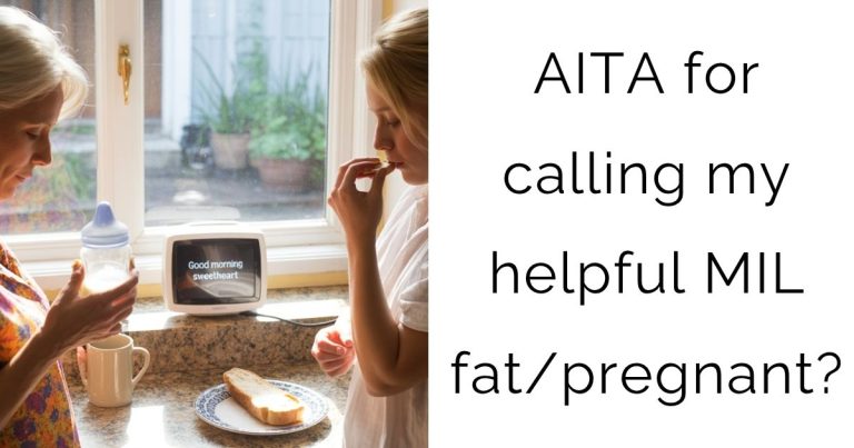 AITA for calling my helpful MIL fat/pregnant?
