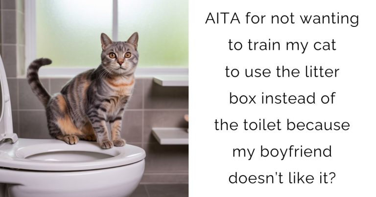 AITA for not wanting to train my cat to use the litter box instead of the toilet because my boyfriend doesn’t like it?