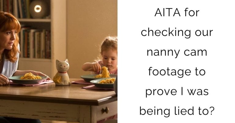 AITA for checking our nanny cam footage to prove I was being lied to?