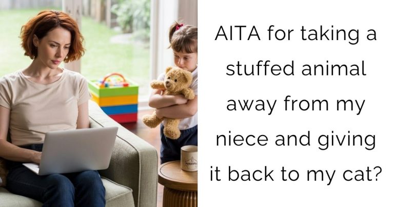 AITA for taking a stuffed animal away from my niece and giving it back to my cat?