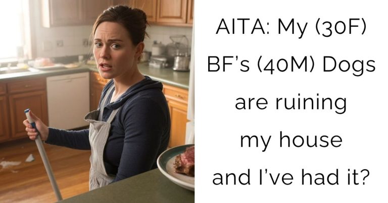 AITA: My (30F) BF’s (40M) Dogs are ruining my house and I’ve had it?