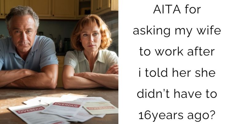 AITA for asking my wife to work after i told her she didn’t have to 16years ago?