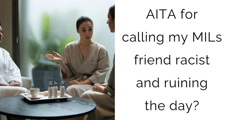AITA for calling my MILs friend racist and ruining the day?