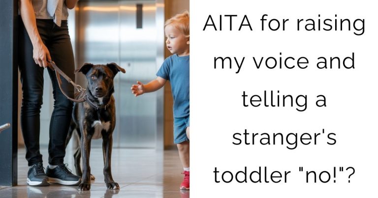 AITA for raising my voice and telling a stranger’s toddler “no!”?