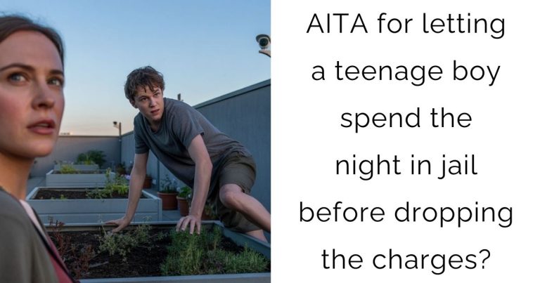 AITA for letting a teenage boy spend the night in jail before dropping the charges?