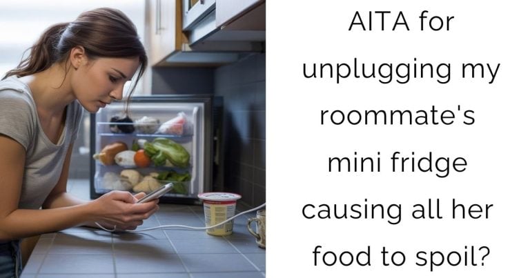 AITA for unplugging my roommate’s mini fridge causing all her food to spoil?