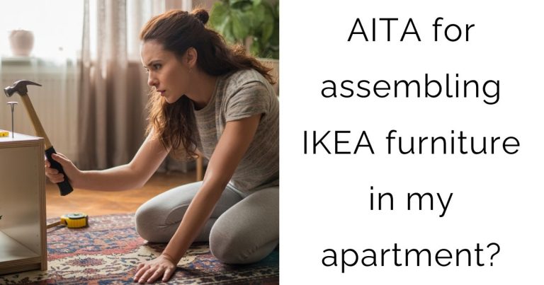 AITA for assembling IKEA furniture in my apartment?