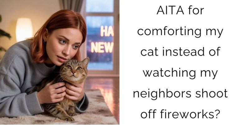 AITA for comforting my cat instead of watching my neighbors shoot off fireworks?