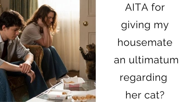 AITA for giving my housemate an ultimatum regarding her cat?