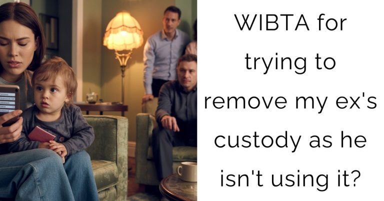 WIBTA for trying to remove my ex’s custody as he isn’t using it?