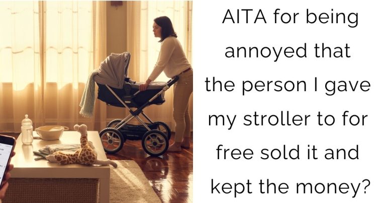 AITA for being annoyed that the person I gave my stroller to for free sold it and kept the money?