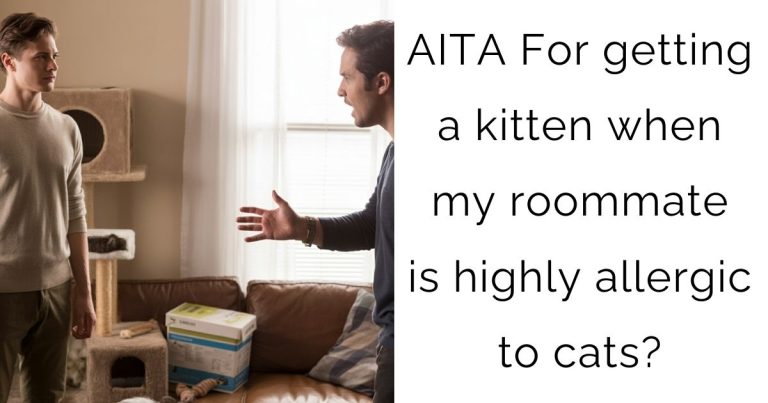 AITA For getting a kitten when my roommate is highly allergic to cats?