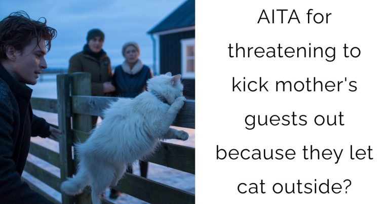 AITA for threatening to kick mother’s guests out because they let cat outside?