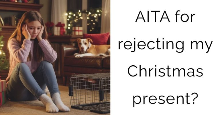 AITA for rejecting my Christmas present?
