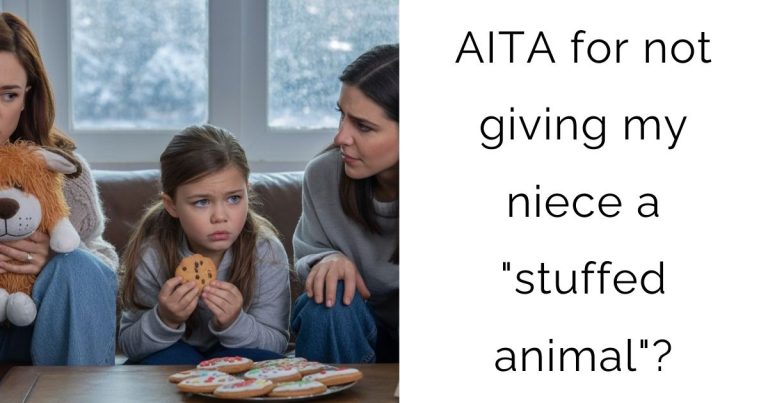 AITA for not giving my niece a “stuffed animal”?