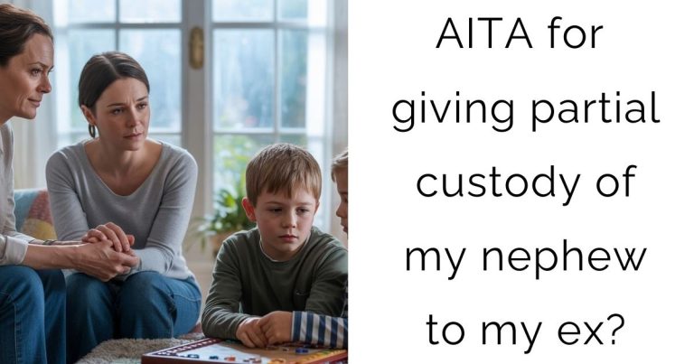AITA for giving partial custody of my nephew to my ex?