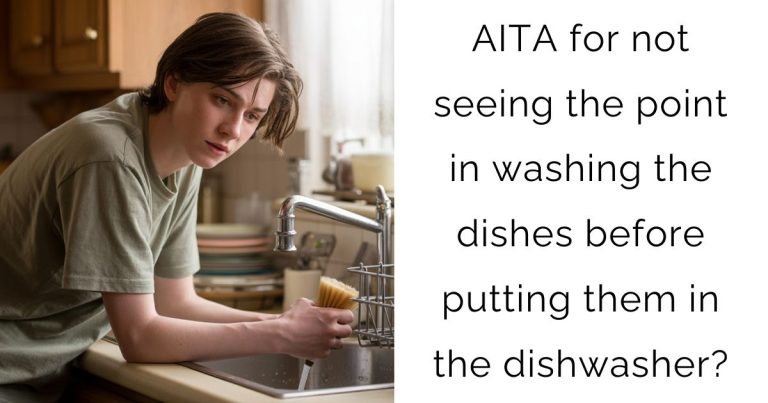 AITA for not seeing the point in washing the dishes before putting them in the dishwasher?