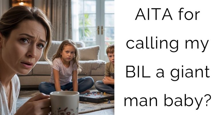 AITA for calling my BIL a giant man baby?