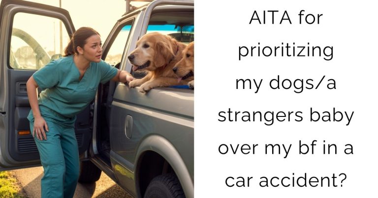 AITA for prioritizing my dogs/a strangers baby over my bf in a car accident?