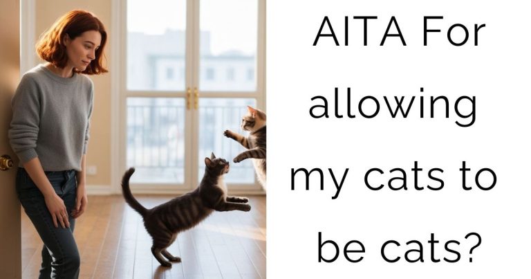 AITA For allowing my cats to be cats?