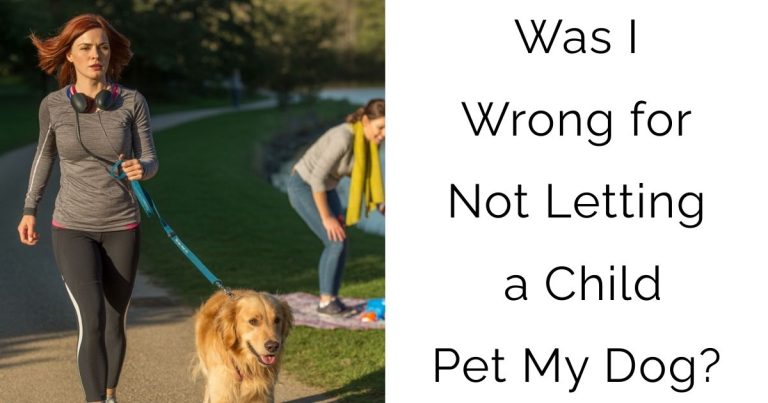 Was I Wrong for Not Letting a Child Pet My Dog?