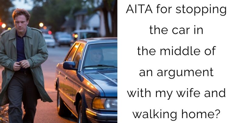 AITA for stopping the car in the middle of an argument with my wife and walking home?