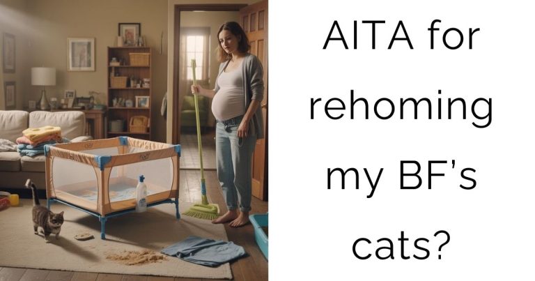 AITA for rehoming my boyfriend’s cats?