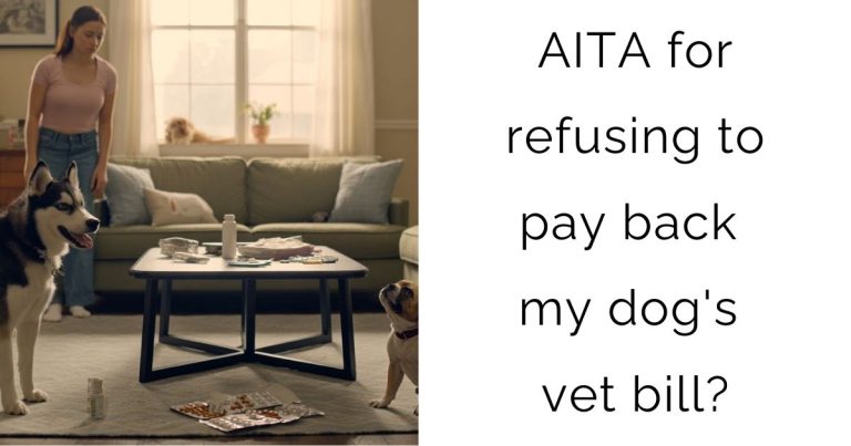 AITA for refusing to pay back my dog’s vet bill?