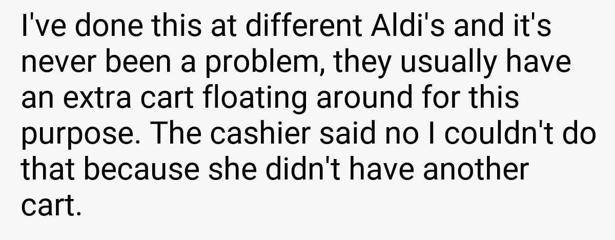 I've done this at different Aldi's and it's never been a problem, they usually have an extra cart floating around for this purpose. The cashier said no I couldn't do that because she didn't have another cart.