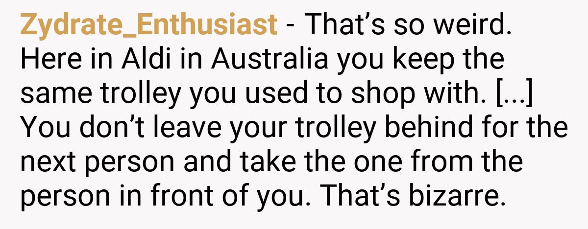 Zydrate_Enthusiast - That’s so weird. Here in Aldi in Australia you keep the same trolley you used to shop with. [...] You don’t leave your trolley behind for the next person and take the one from the person in front of you. That’s bizarre.
