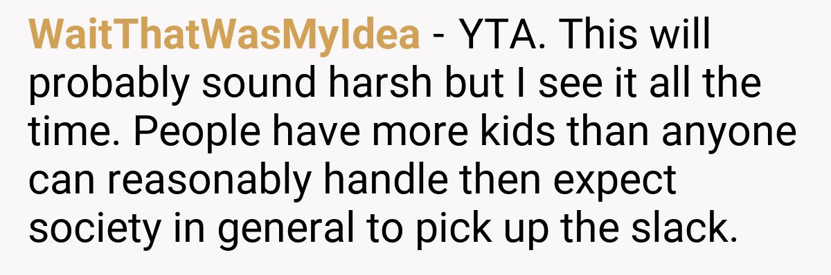 WaitThatWasMyIdea - YTA. This will probably sound harsh but I see it all the time. People have more kids than anyone can reasonably handle then expect society in general to pick up the slack.