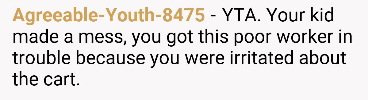 Agreeable-Youth-8475 - YTA. Your kid made a mess, you got this poor worker in trouble because you were irritated about the cart.