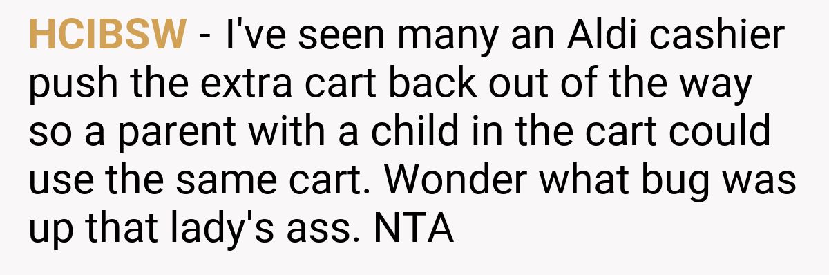 HCIBSW - I've seen many an Aldi cashier push the extra cart back out of the way so a parent with a child in the cart could use the same cart. Wonder what bug was up that lady's ass. NTA