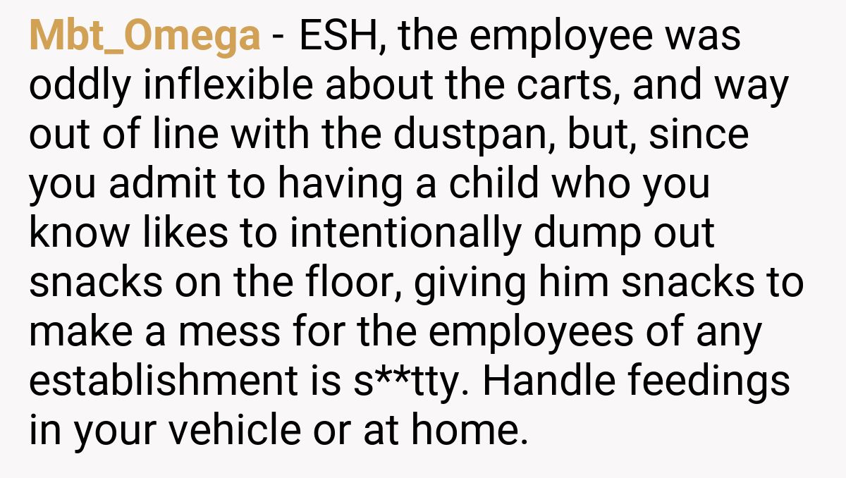 Mbt_Omega - ESH, the employee was oddly inflexible about the carts, and way out of line with the dustpan, but, since you admit to having a child who you know likes to intentionally dump out snacks on the floor, giving him snacks to make a mess for the employees of any establishment is s**tty. Handle feedings in your vehicle or at home.