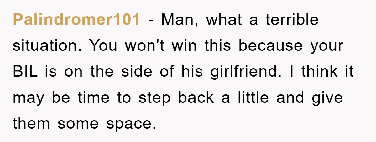 Palindromer101 − Man, what a terrible situation. You won't win this because your BIL is on the side of his girlfriend. I think it may be time to step back...