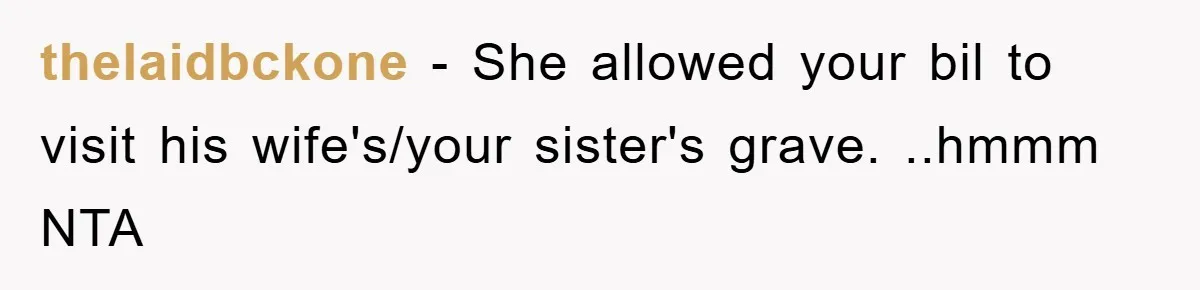 thelaidbckone − She allowed your bil to visit his wife's/your sister's grave. ..hmmm NTA