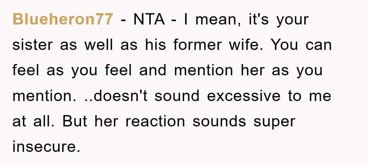 Blueheron77 − NTA - I mean, it's your sister as well as his former wife. You can feel as you feel and mention her as you mention. ..doesn't sound excessive...