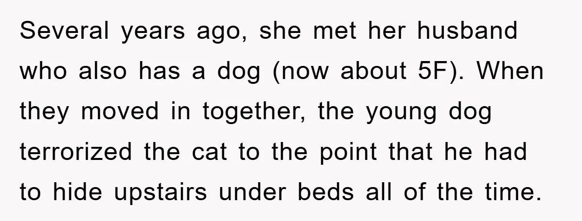 Several years ago, she met her husband who also has a dog (now about 5F). When they moved in together, the young dog terrorized the cat to the point that...