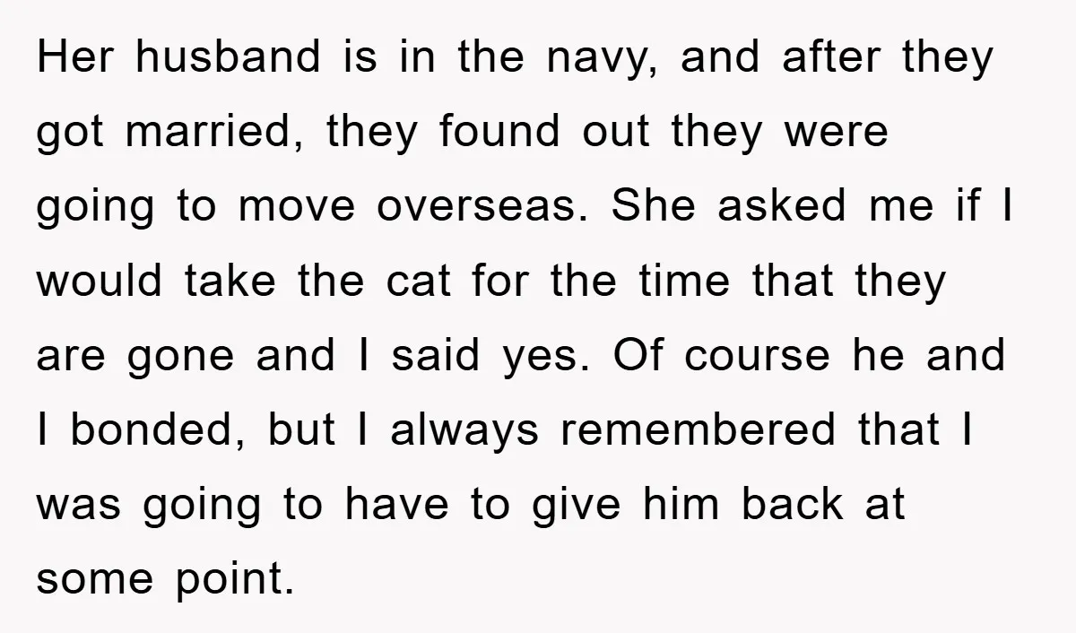 Her husband is in the navy, and after they got married, they found out they were going to move overseas. She asked me if I would take the cat for...