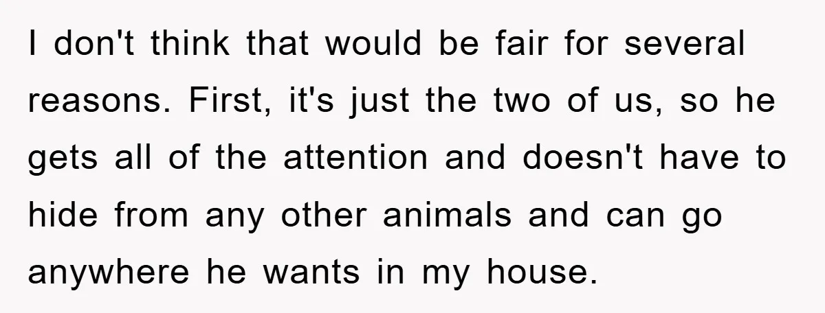 I don't think that would be fair for several reasons. First, it's just the two of us, so he gets all of the attention and doesn't have to hide from...