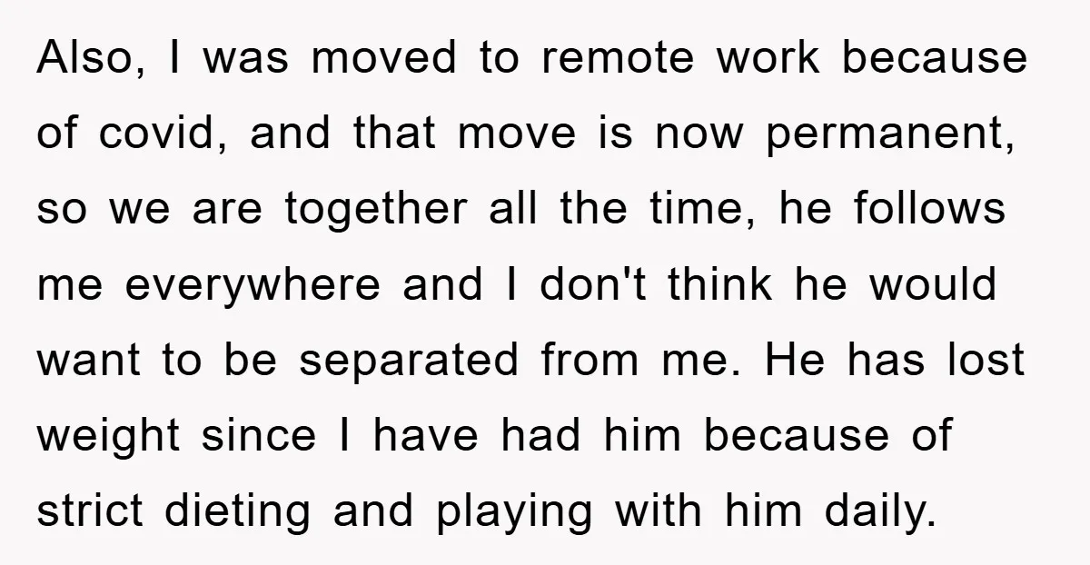 Also, I was moved to remote work because of covid, and that move is now permanent, so we are together all the time, he follows me everywhere and I don't...